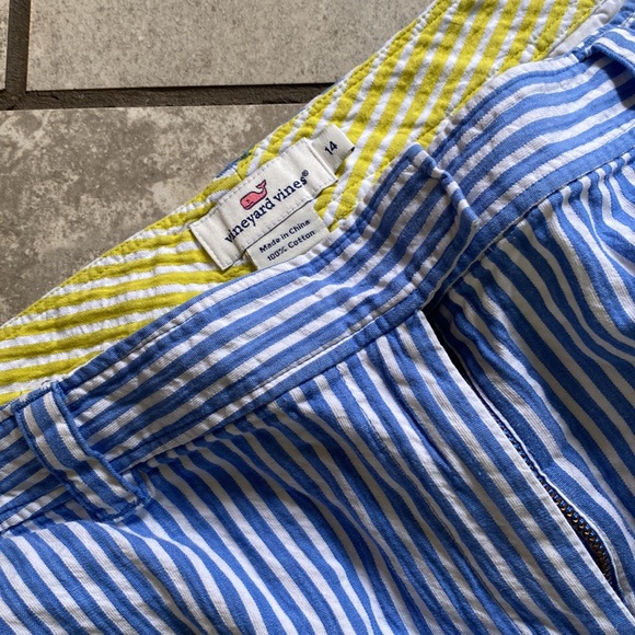 Vineyard Vines Blue White Stripe Pants - Picture 2 of 6